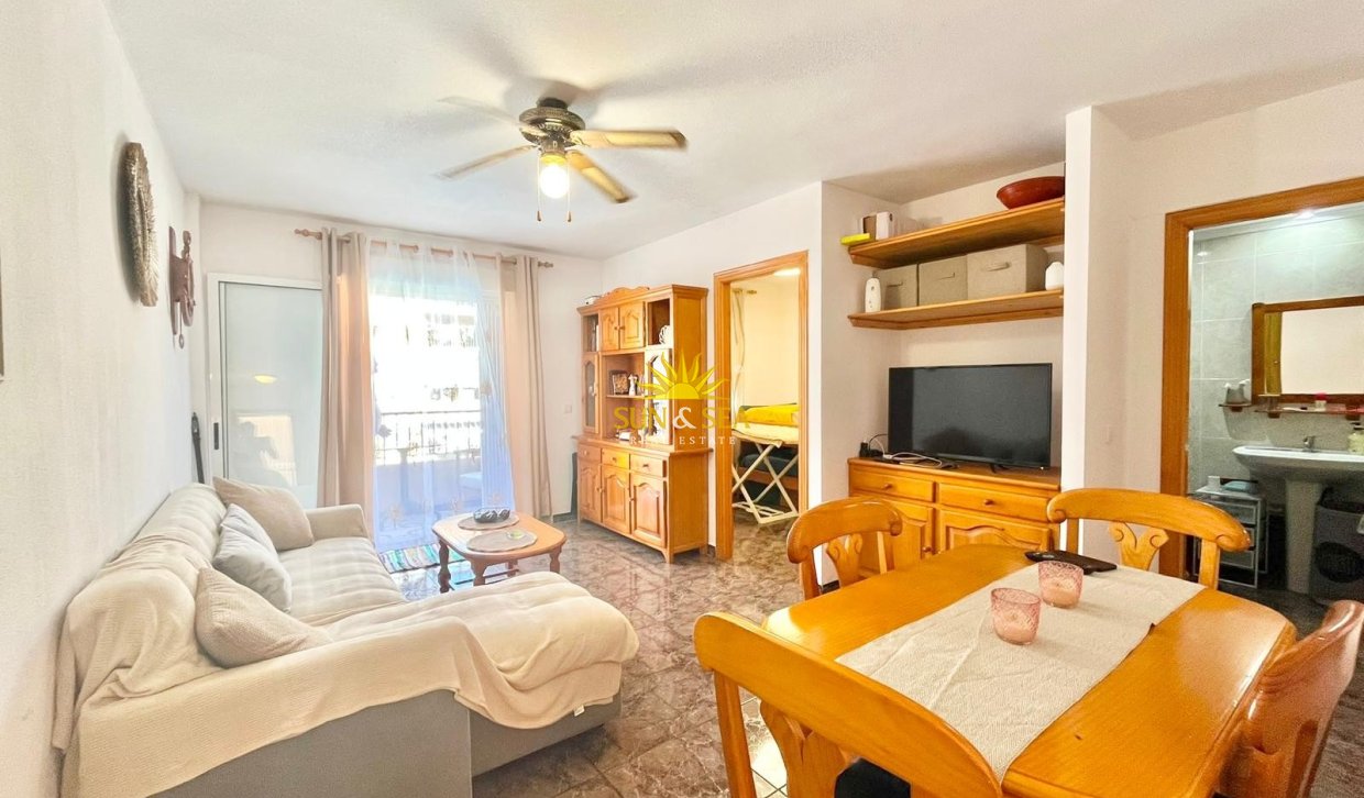 Alquiler de invierno - Apartamento - Torrevieja - torrevieja