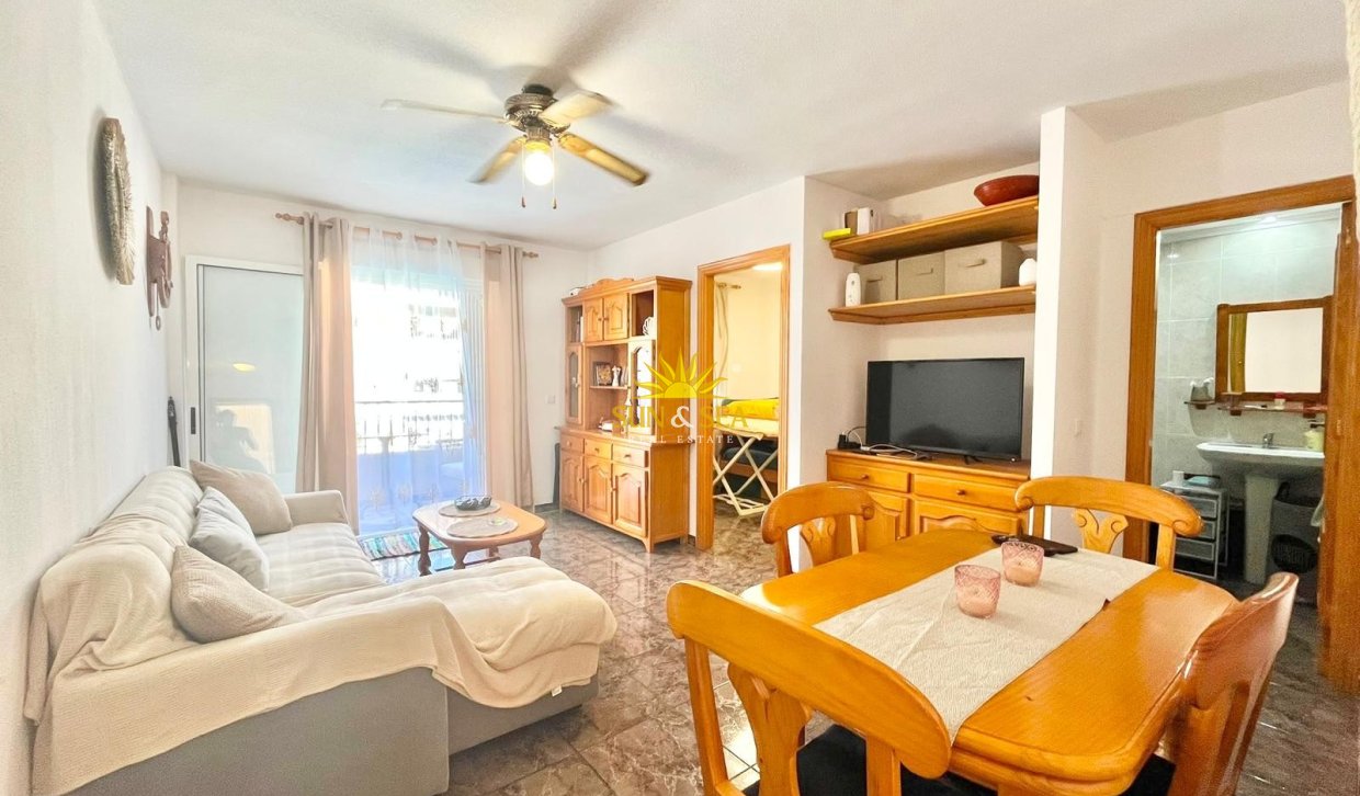 Alquiler de invierno - Apartamento - Torrevieja - torrevieja