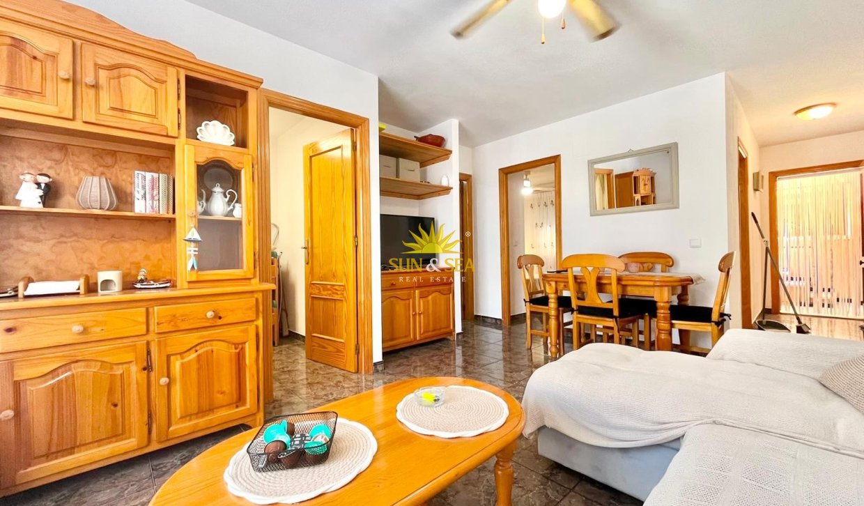 Alquiler de invierno - Apartamento - Torrevieja - torrevieja