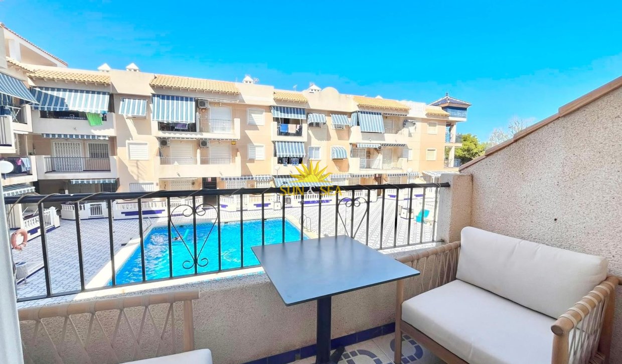 Alquiler de invierno - Apartamento - Torrevieja - torrevieja
