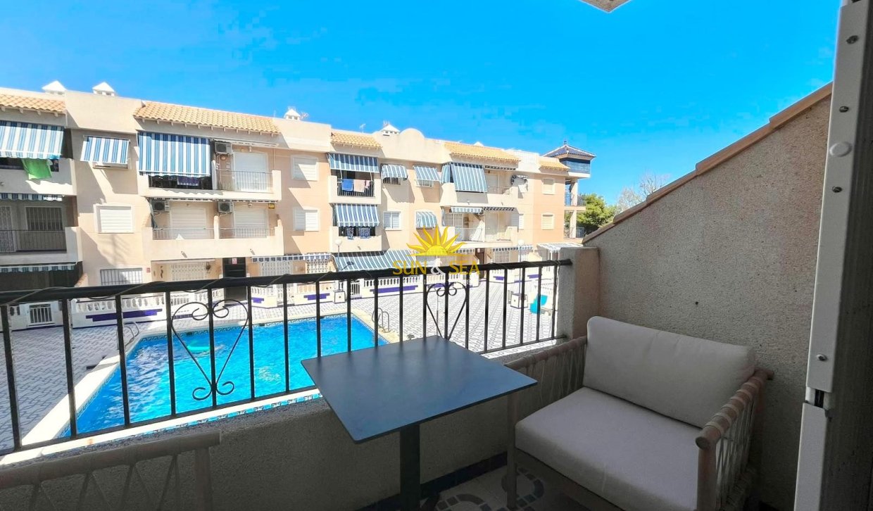 Alquiler de invierno - Apartamento - Torrevieja - torrevieja
