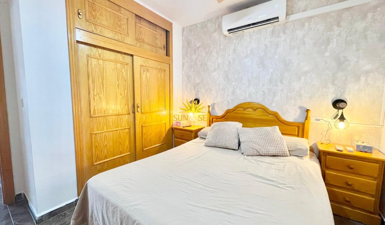 Alquiler de invierno - Apartamento - Torrevieja - torrevieja