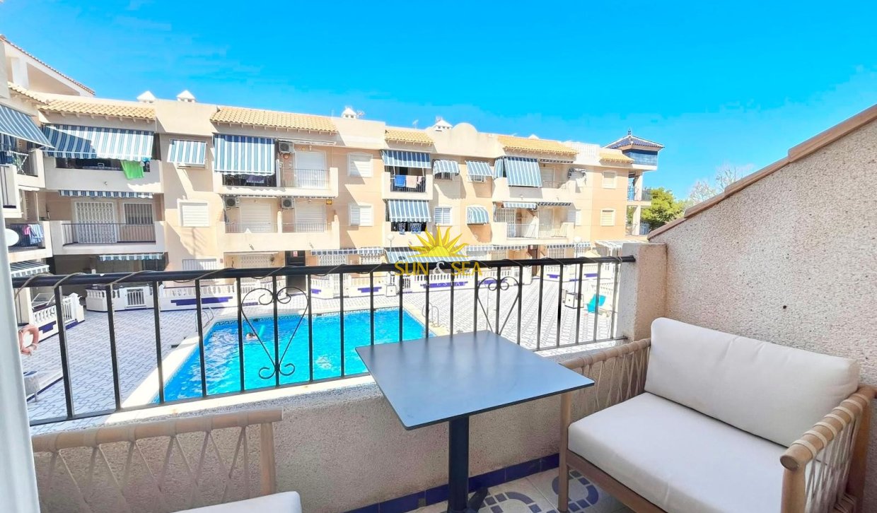 Alquiler de invierno - Apartamento - Torrevieja - torrevieja