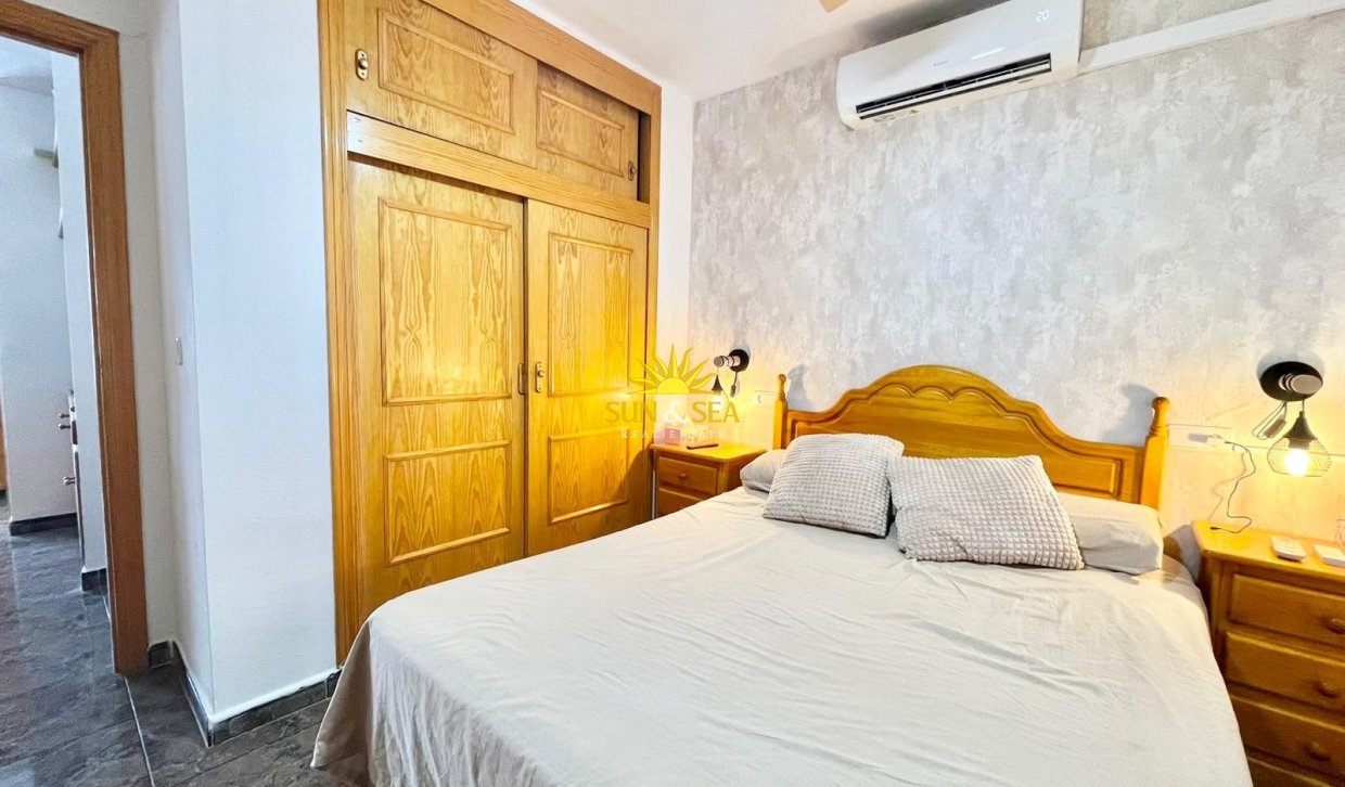 Alquiler de invierno - Apartamento - Torrevieja - torrevieja
