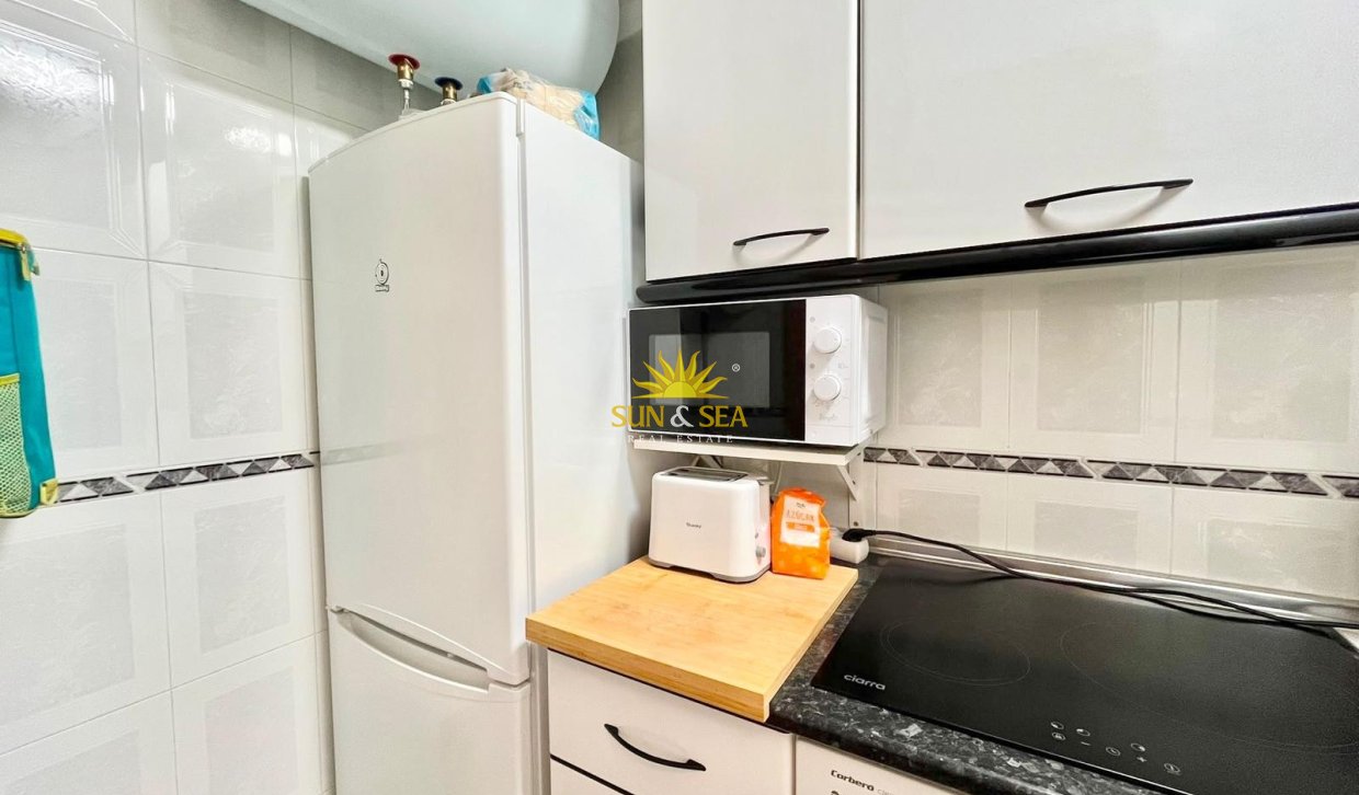 Alquiler de invierno - Apartamento - Torrevieja - torrevieja