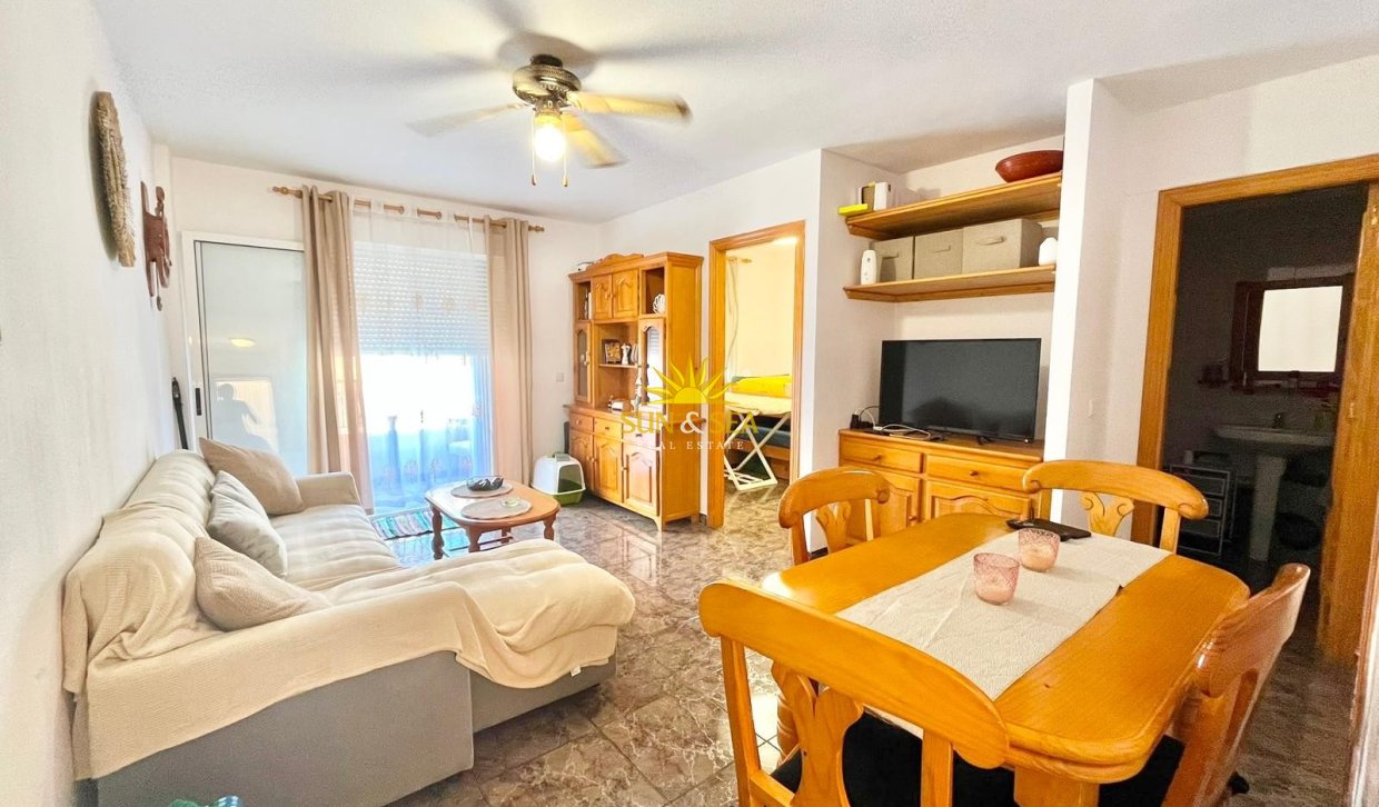 Alquiler de invierno - Apartamento - Torrevieja - torrevieja