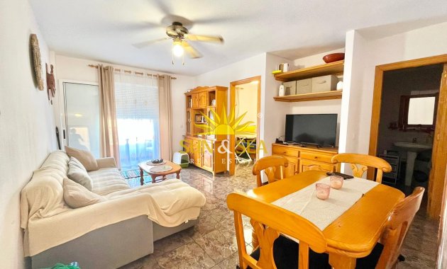 Alquiler de invierno - Apartamento - Torrevieja - torrevieja