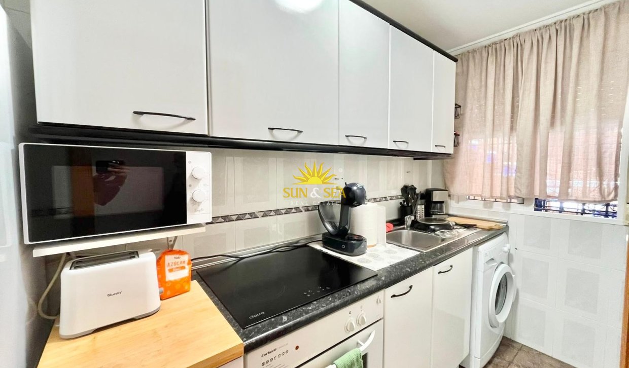 Alquiler de invierno - Apartamento - Torrevieja - torrevieja