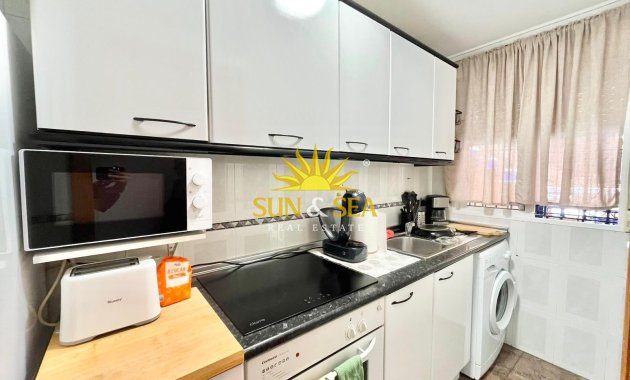Alquiler de invierno - Apartamento - Torrevieja - torrevieja