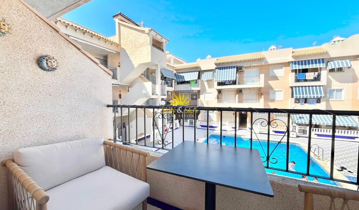 Alquiler de invierno - Apartamento - Torrevieja - torrevieja
