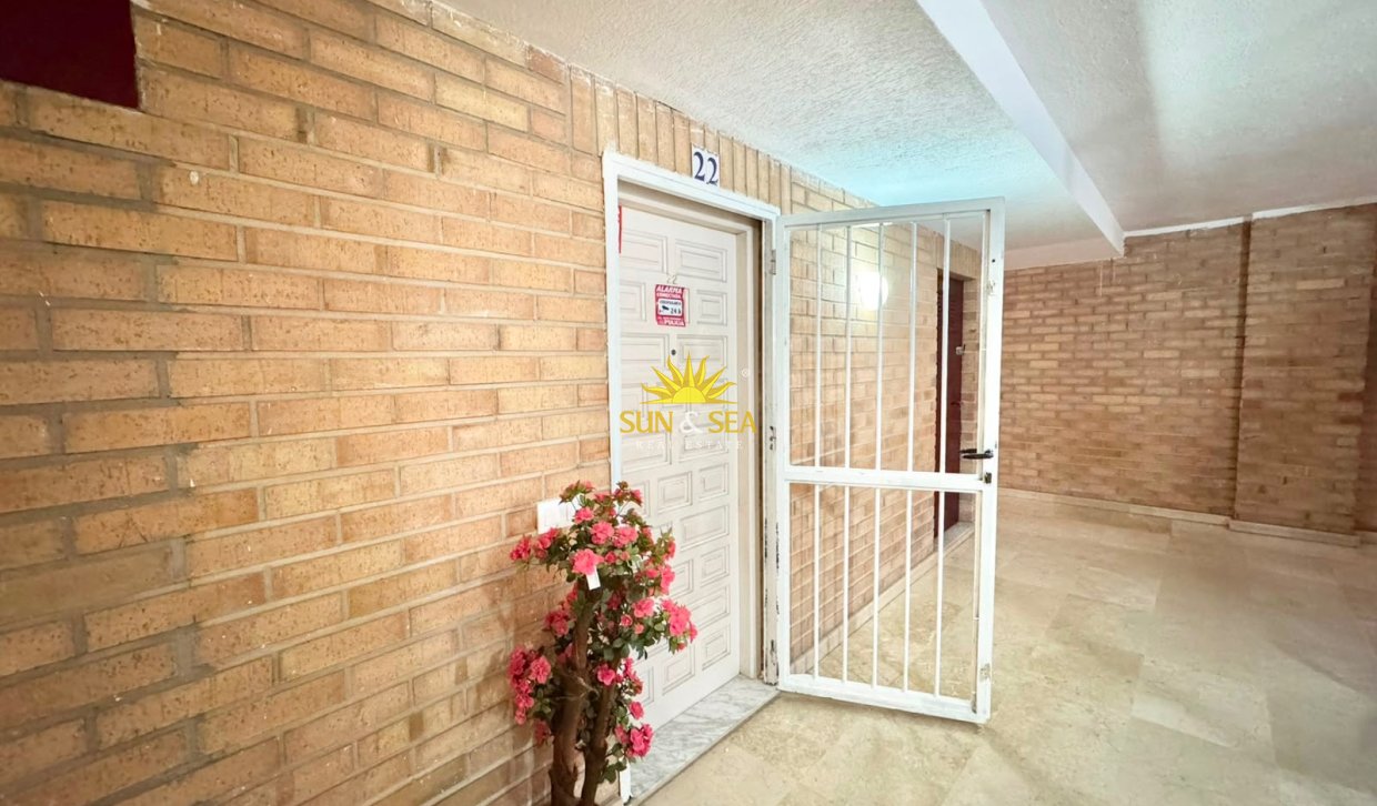 Долгосрочная аренда - Apartment - Torrevieja - torrevieja
