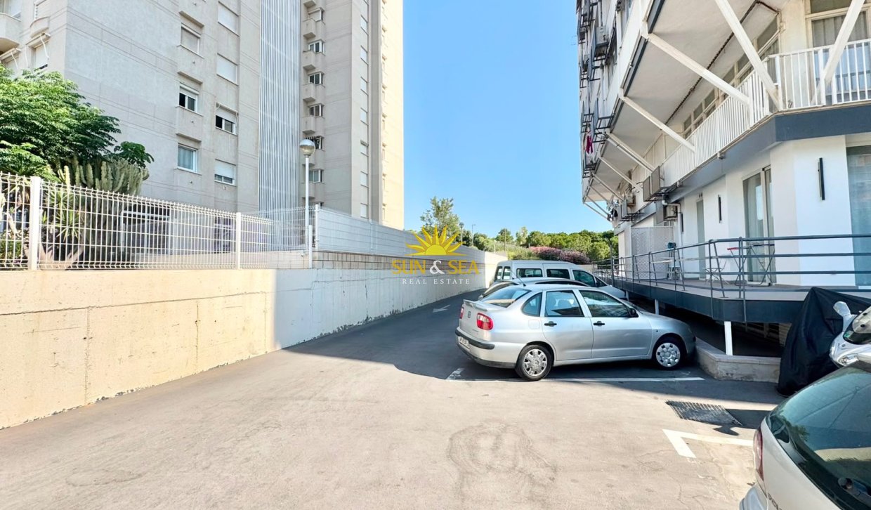 Location d’hiver - Appartement - Alicante (Alacant)