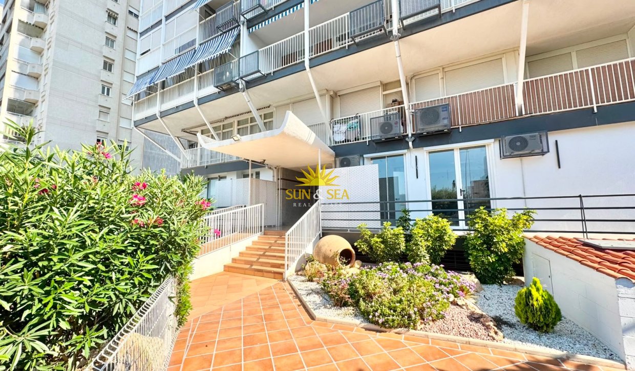 Location d’hiver - Appartement - Alicante (Alacant)