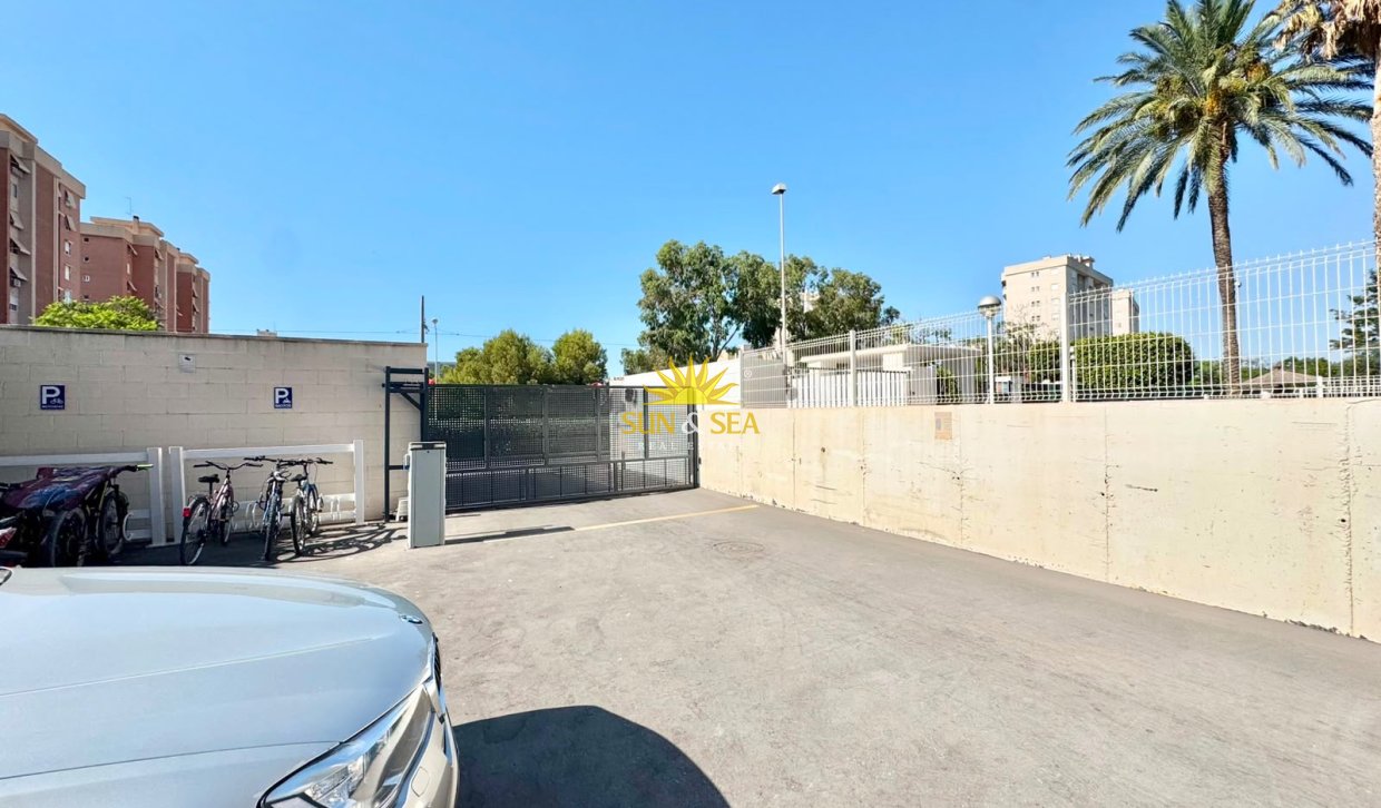 Location d’hiver - Appartement - Alicante (Alacant)