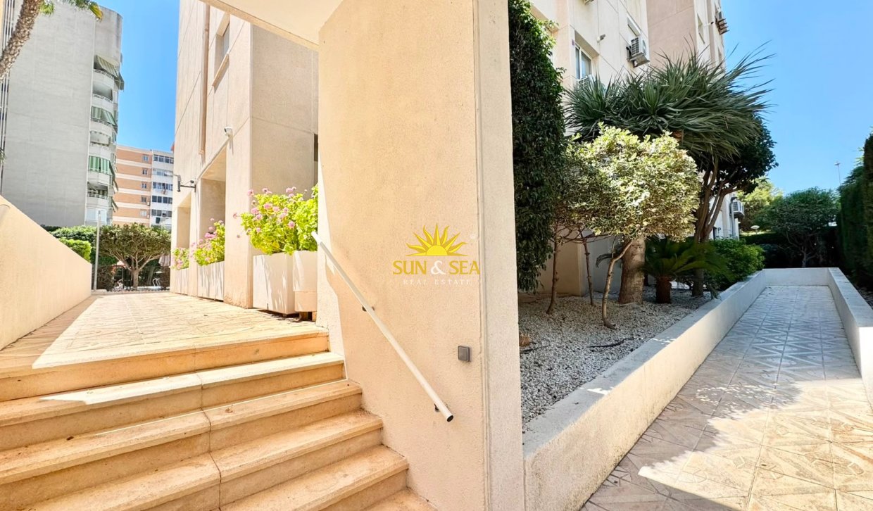 Location d’hiver - Appartement - Alicante (Alacant)