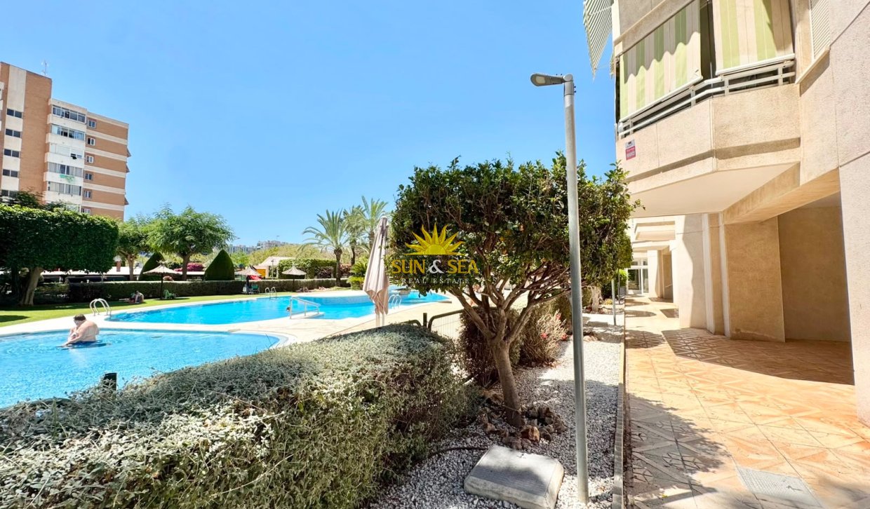 Location d’hiver - Appartement - Alicante (Alacant)