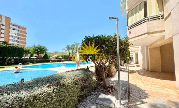 Location d’hiver - Appartement - Alicante (Alacant)
