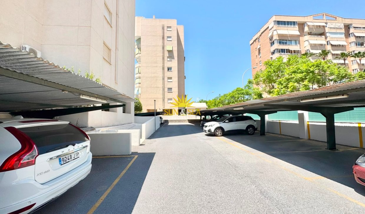 Location d’hiver - Appartement - Alicante (Alacant)