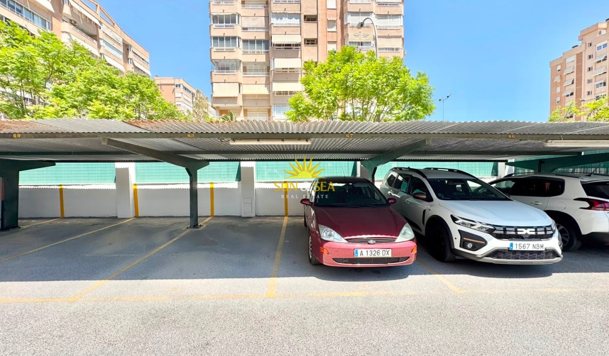 Location d’hiver - Appartement - Alicante (Alacant)