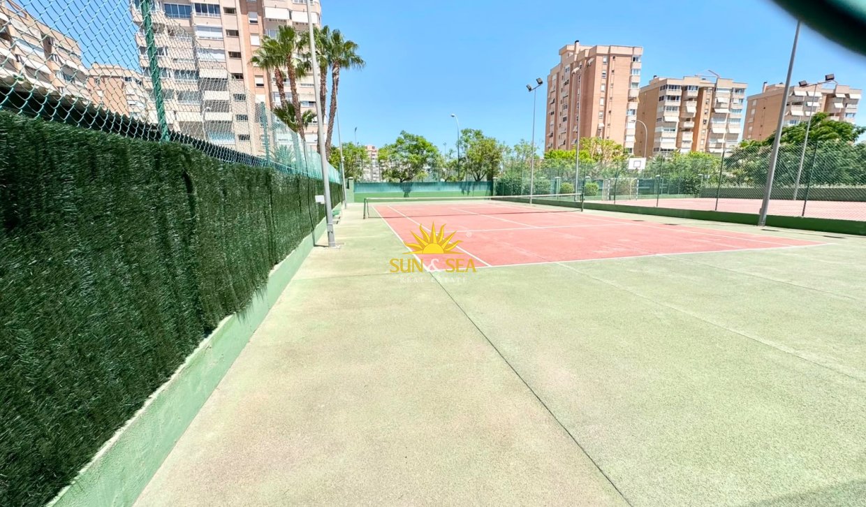Location d’hiver - Appartement - Alicante (Alacant)