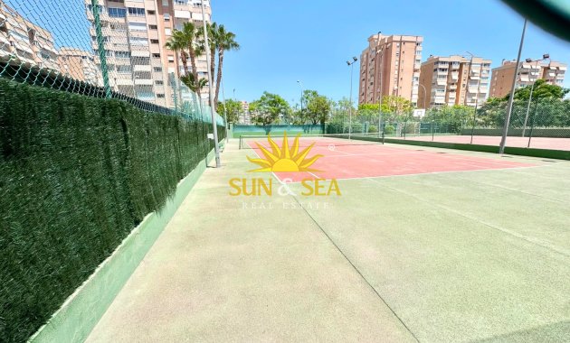 Location d’hiver - Appartement - Alicante (Alacant)