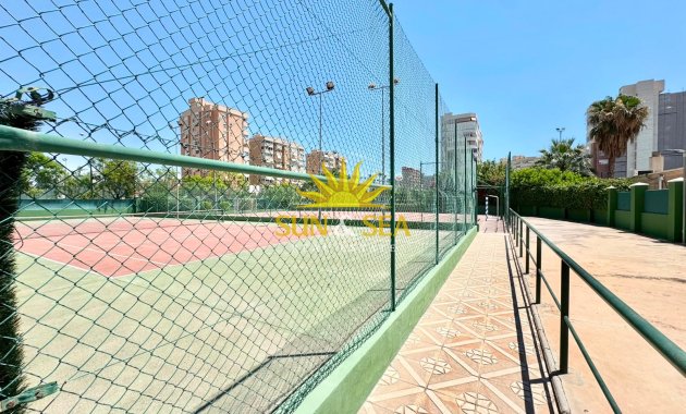 Location d’hiver - Appartement - Alicante (Alacant)