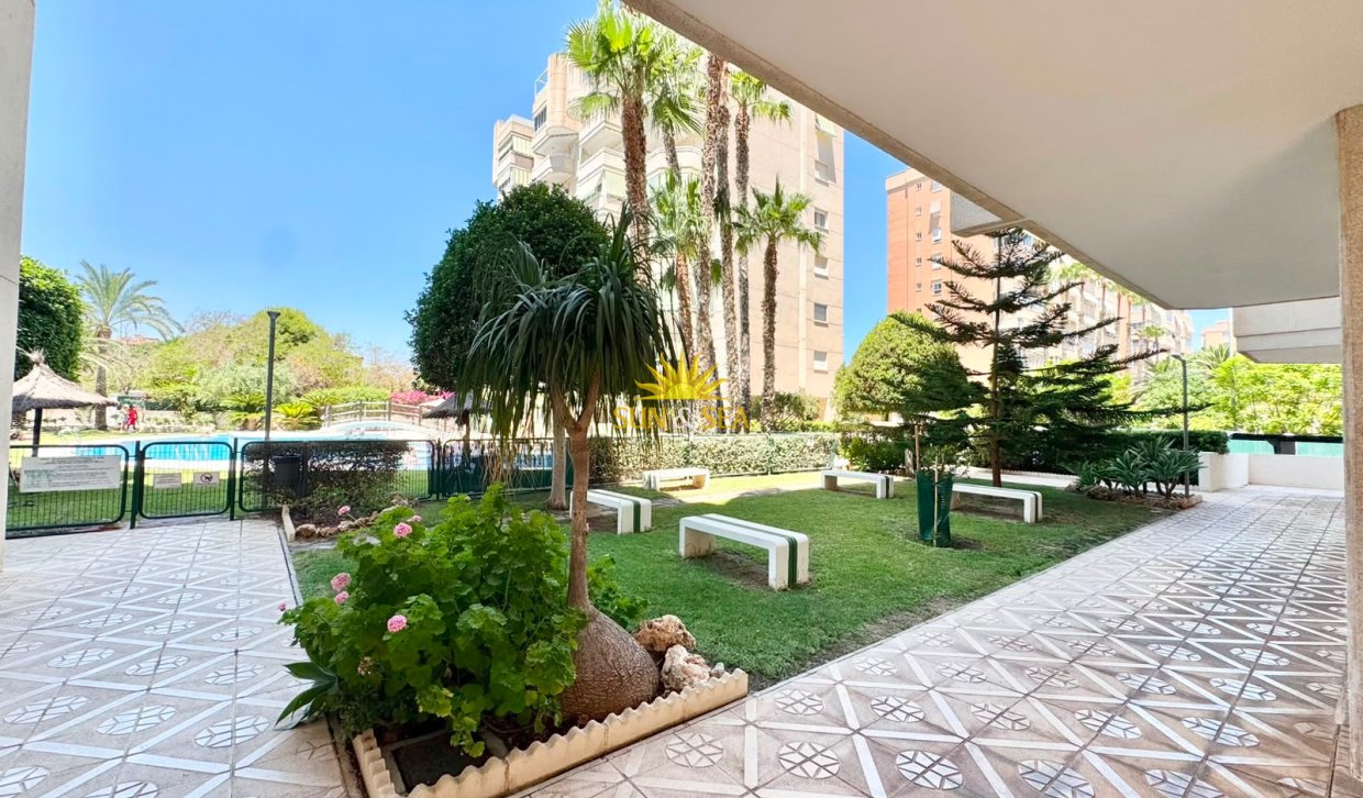 Location d’hiver - Appartement - Alicante (Alacant)