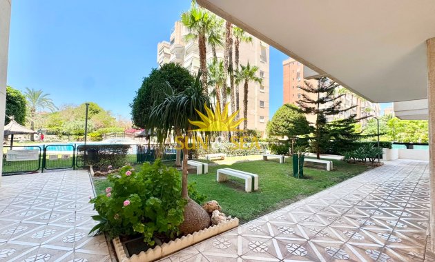 Location d’hiver - Appartement - Alicante (Alacant)