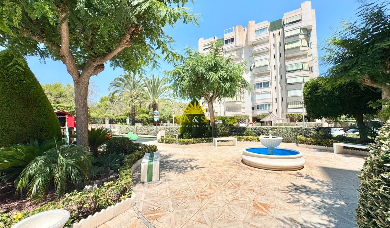 Location d’hiver - Appartement - Alicante (Alacant)