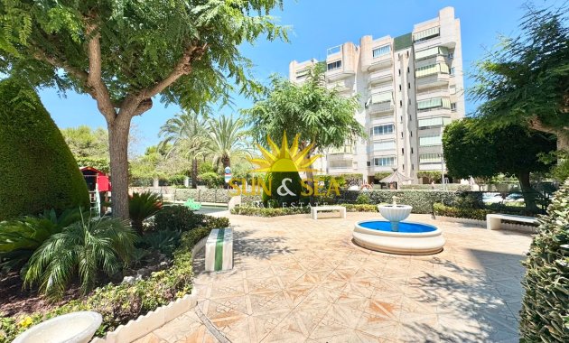 Location d’hiver - Appartement - Alicante (Alacant)