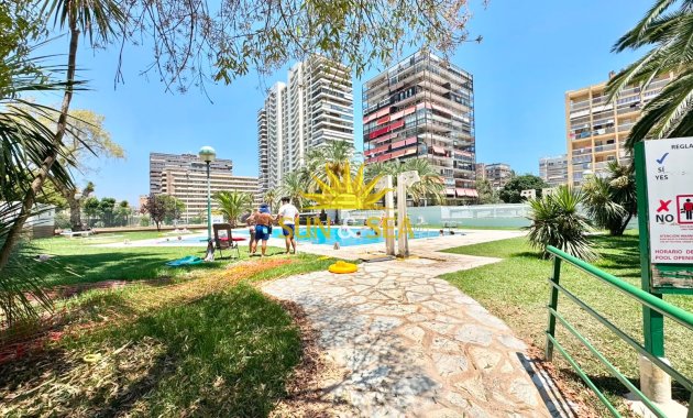 Location à long terme - Appartement - Alicante (Alacant)