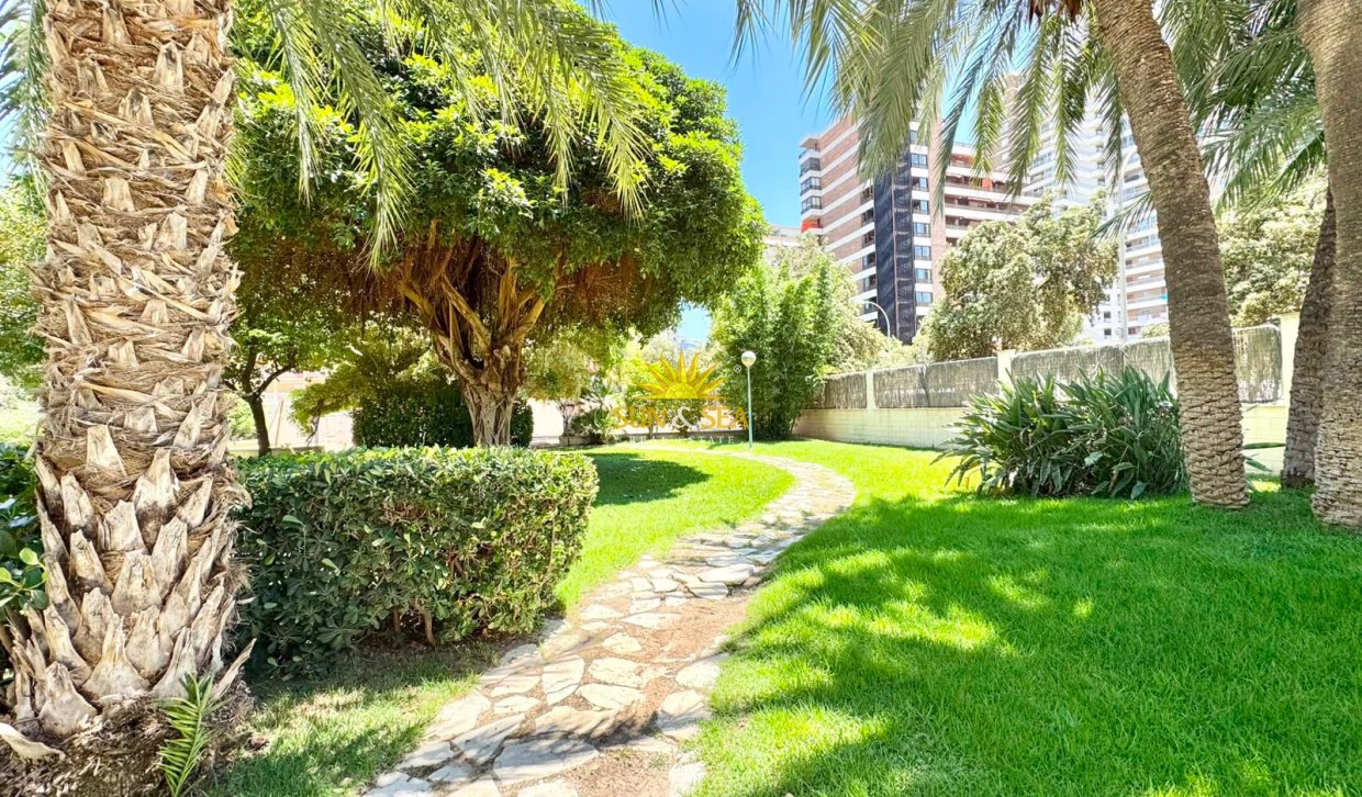 Location à long terme - Appartement - Alicante (Alacant)