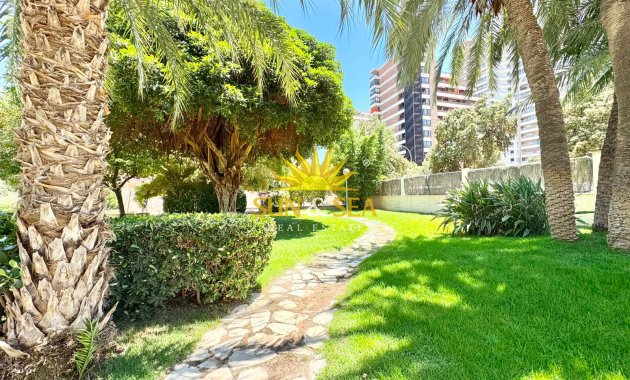 Location à long terme - Appartement - Alicante (Alacant)