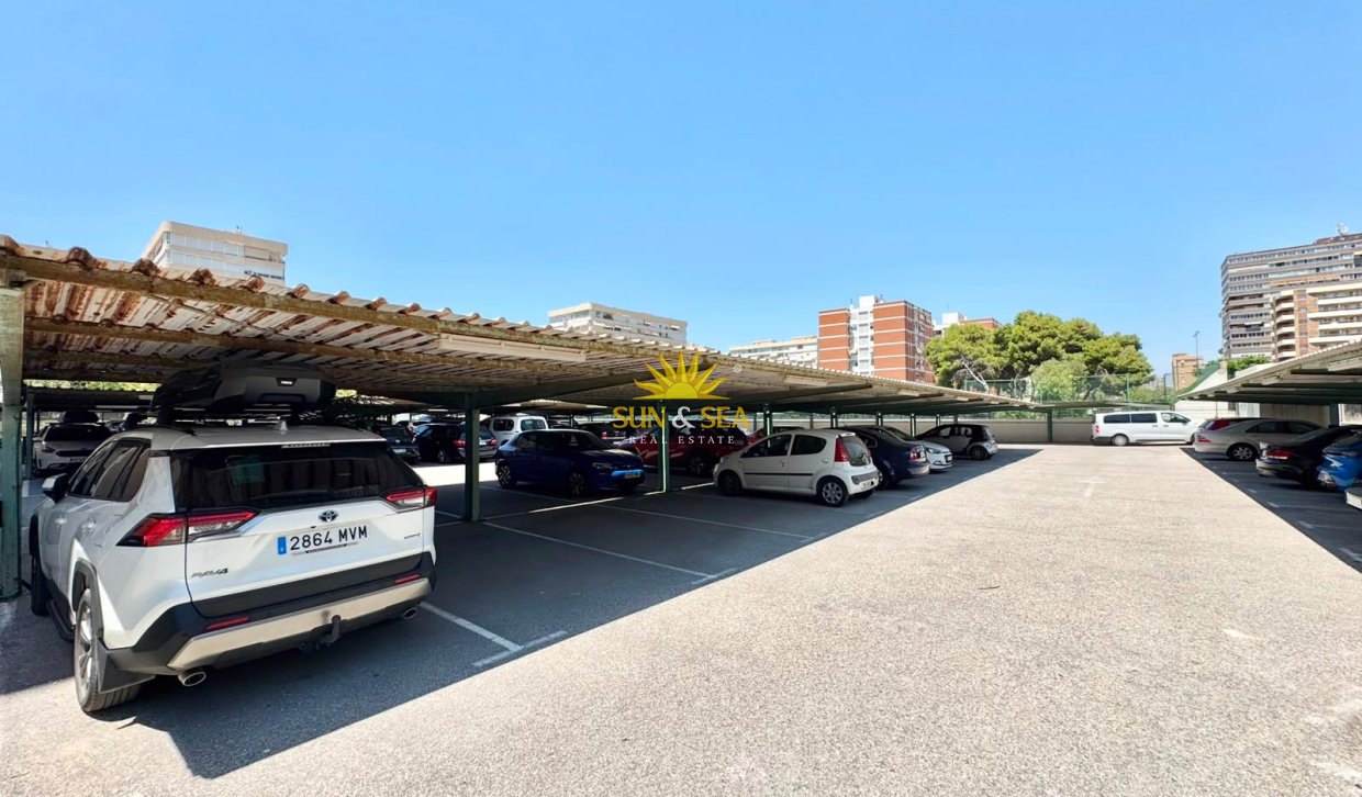 Location à long terme - Appartement - Alicante (Alacant)