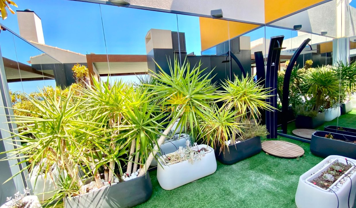 Revente - Penthouse - Torrevieja - Punta prima