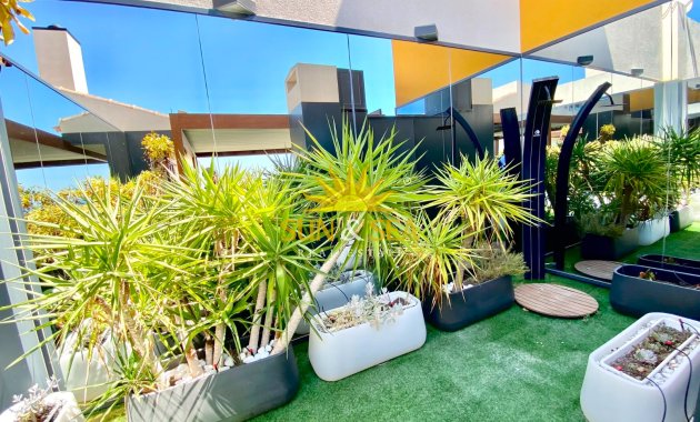 Revente - Penthouse - Torrevieja - Punta prima