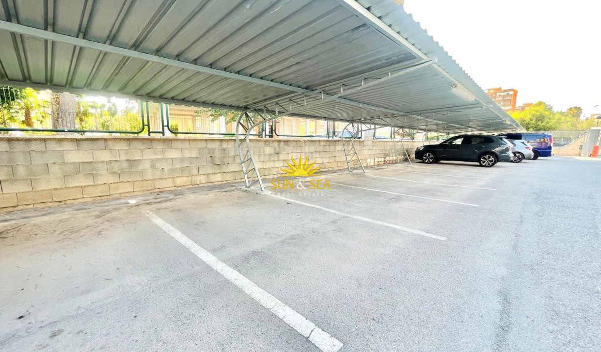 Location à long terme - Appartement - San Juan Playa - San Juan de Alicante