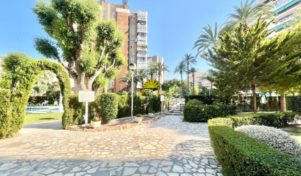 Location à long terme - Appartement - San Juan Playa - San Juan de Alicante