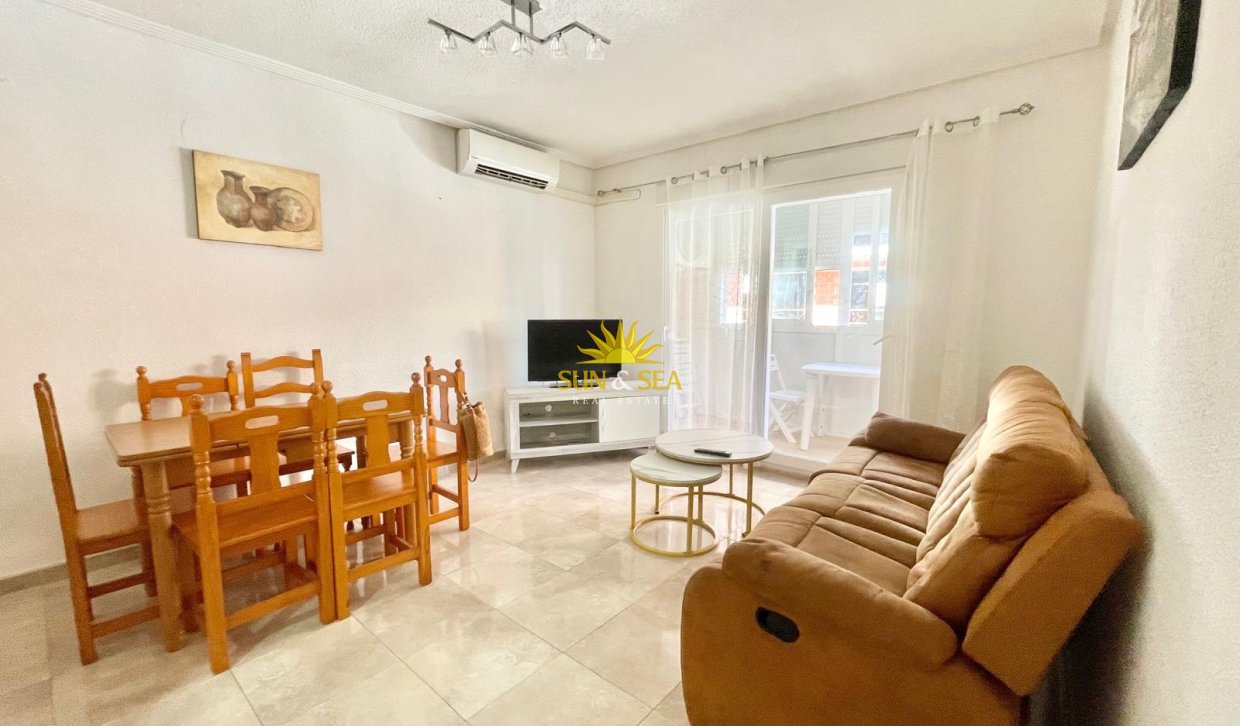 Alquiler de invierno - Apartamento - Torrevieja - torrevieja
