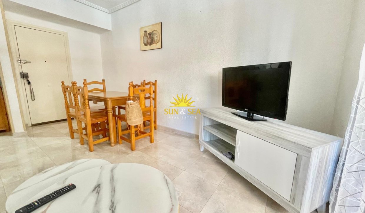 Alquiler de invierno - Apartamento - Torrevieja - torrevieja