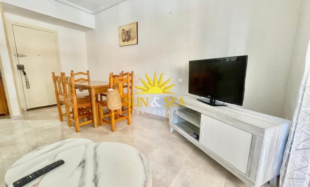 Alquiler de invierno - Apartamento - Torrevieja - torrevieja