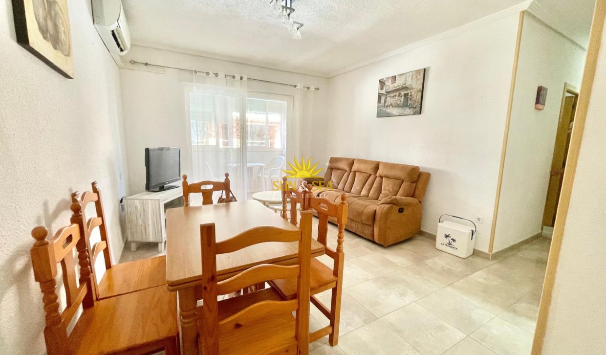 Alquiler de invierno - Apartamento - Torrevieja - torrevieja