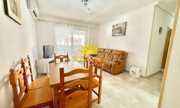 Alquiler de invierno - Apartamento - Torrevieja - torrevieja