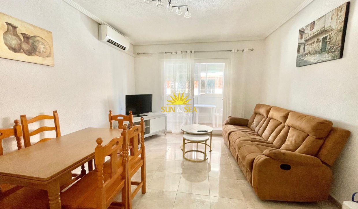 Alquiler de invierno - Apartamento - Torrevieja - torrevieja