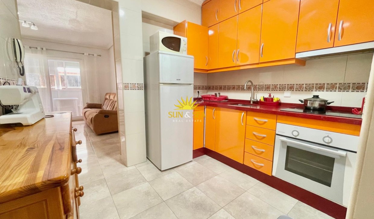 Alquiler de invierno - Apartamento - Torrevieja - torrevieja