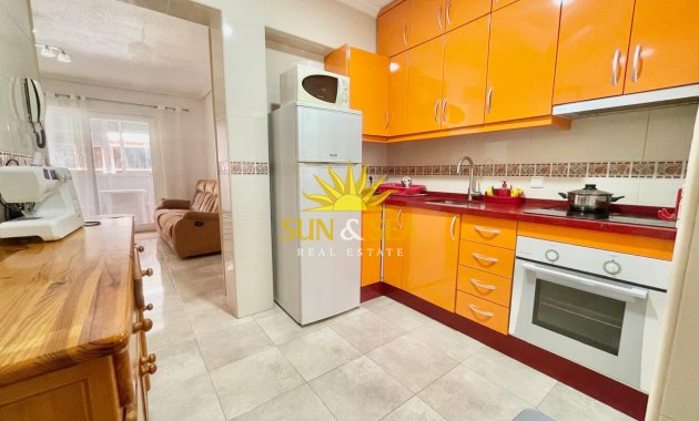 Alquiler de invierno - Apartamento - Torrevieja - torrevieja