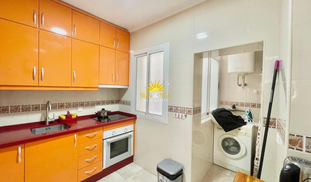 Alquiler de invierno - Apartamento - Torrevieja - torrevieja