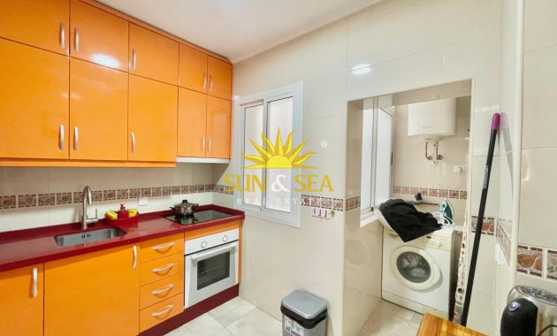 Alquiler de invierno - Apartamento - Torrevieja - torrevieja