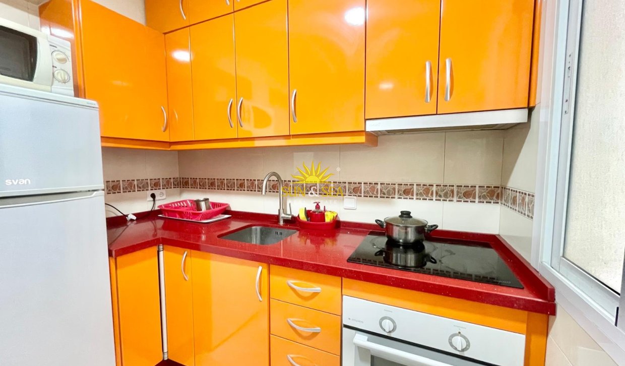 Alquiler de invierno - Apartamento - Torrevieja - torrevieja
