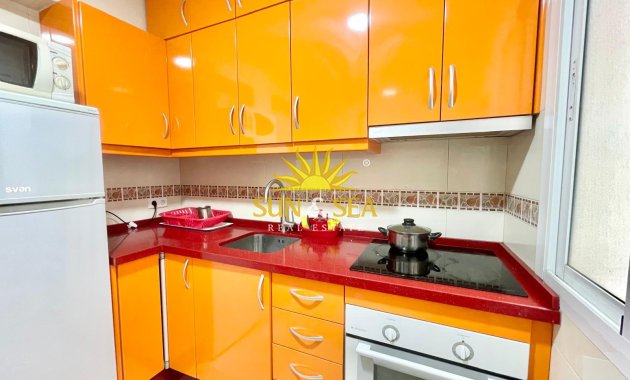 Alquiler de invierno - Apartamento - Torrevieja - torrevieja